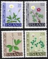 1964 Wild Flowers
