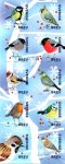 2018 Winter Birds