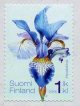 2016 Siberian Iris
