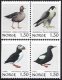 1981 Birds