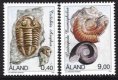 1996 Fossils (image for) 1996 Fossils