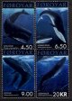 2001 Whales