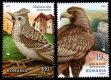 2019 Romania (image for) 2019 Romania