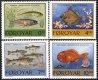 1994 Fishes (image for) 1994 Fishes