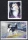 1994 Sheepdogs (image for) 1994 Sheepdogs