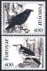 1995 The Raven (image for) 1995 The Raven