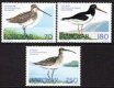 1977 Birds (image for) 1977 Birds