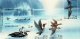 1993 Water Birds (image for) 1993 Water Birds