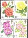 1976 Roses (image for) 1976 Roses