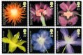 2004 Royal Horticultural Society (image for) 2004 Royal Horticultural Society