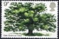 1973 Oak Tree (image for) 1973 Oak Tree
