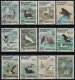 1987-90 Greenland Birds Set (image for) 1987-90 Greenland Birds Set