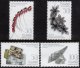 2015 Icelandic Design - Jewellery (image for) 2015 Icelandic Design - Jewellery