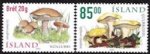 2002 Fungi (image for) 2002 Fungi