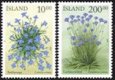 2002 Summer Flowers (image for) 2002 Summer Flowers