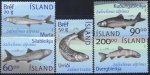 2002 Fish from Lake Thingvellir (image for) 2002 Fish from Lake Thingvellir