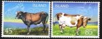 2003 Cattle (image for) 2003 Cattle