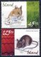 2005 Mice (image for) 2005 Mice