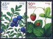 2005 Wild Berries (image for) 2005 Wild Berries