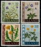 1960-62 Wild Flowers