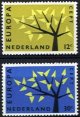 1962 Netherlands