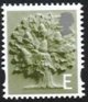 E value Oak Tree