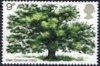 1973 Oak Tree