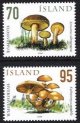 2006 Wild Mushrooms