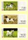2015 Machine Labels (Dogs) (image for) 2015 Machine Labels (Dogs)