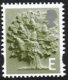 E value Oak Tree (image for) E value Oak Tree