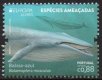 2021 Azores (image for) 2021 Azores