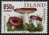 2012 Fungi VI (image for) 2012 Fungi VI