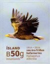 2013 White-Tailed Eagle (image for) 2013 White-Tailed Eagle