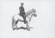 2007 King Frederick VIII (Black Print) (image for) 2007 King Frederick VIII (Black Print)
