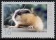 2010 Lemming (S/A) (image for) 2010 Lemming (S/A)