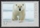 2011 Polar Bear (Perf 14) (image for) 2011 Polar Bear (Perf 14)