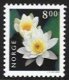 8 Kr White Water Lily (image for) 8 Kr White Water Lily