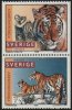 1997 Tigers (image for) 1997 Tigers