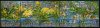 1995 Nature Conservation (image for) 1995 Nature Conservation
