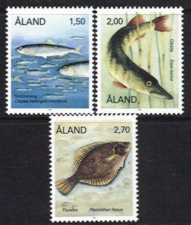 1990 Fish
