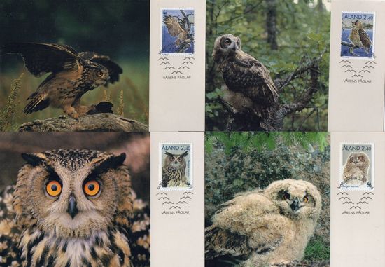 1996 The Eagle Owl PHQ Card Set