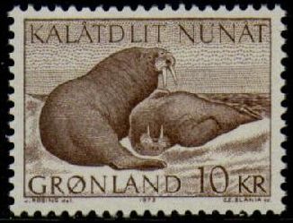 10 Kr. Walrus
